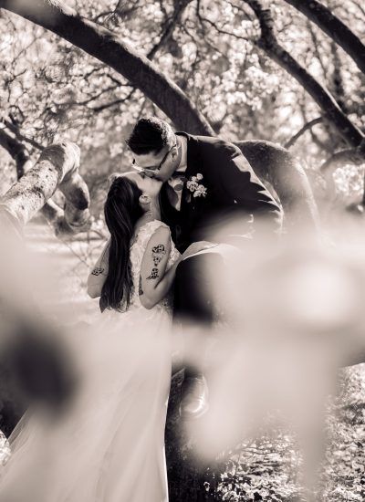 séance de couple dans un magnolia